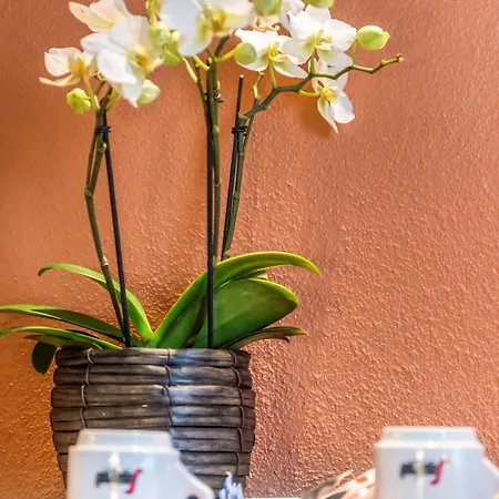 Ibis Centrum Opera Gent