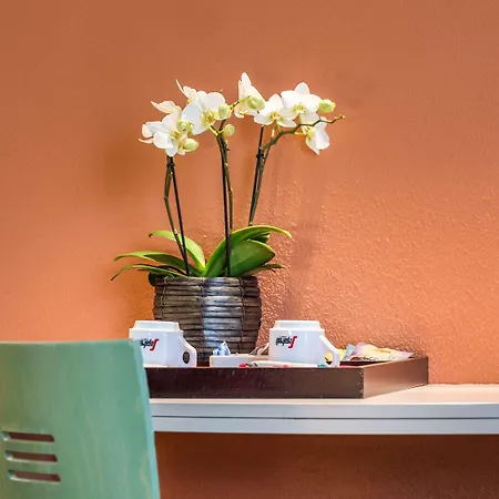 Hotel Ibis Centrum Opera 3*