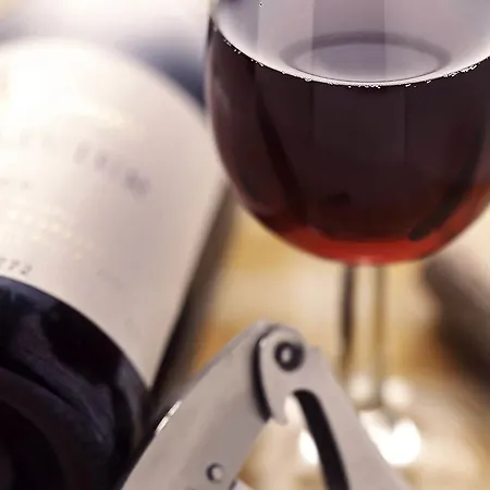 Hotel Ibis Centrum Opera 3*