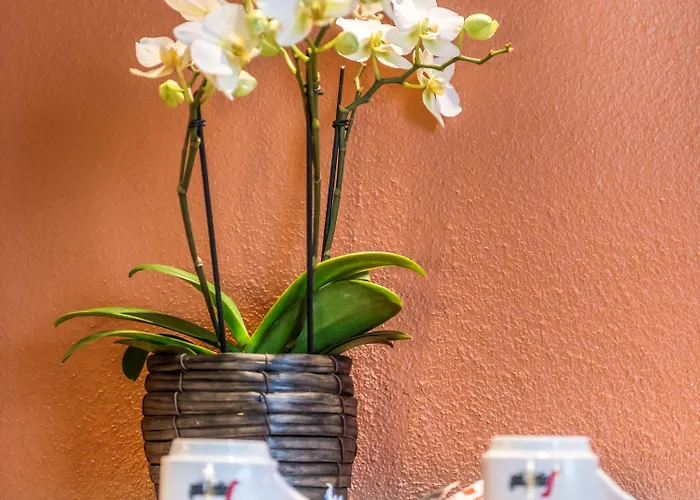 Ibis Centrum Opera Ghent